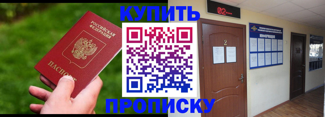 где прописаться в Гатчине